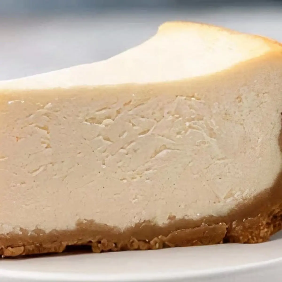 Cheesecake Slice