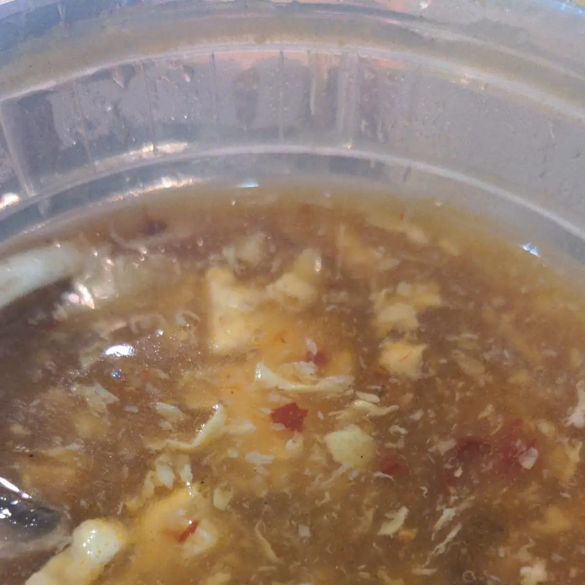LC9  Sweet & Sour Pork