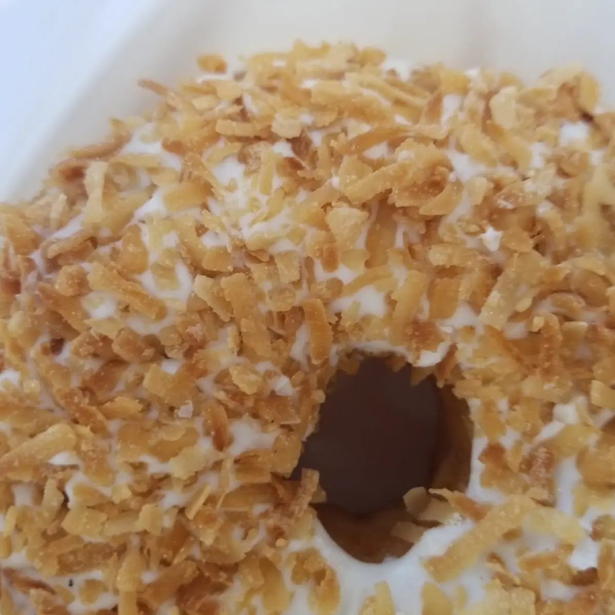 Toasted Coconut Donut