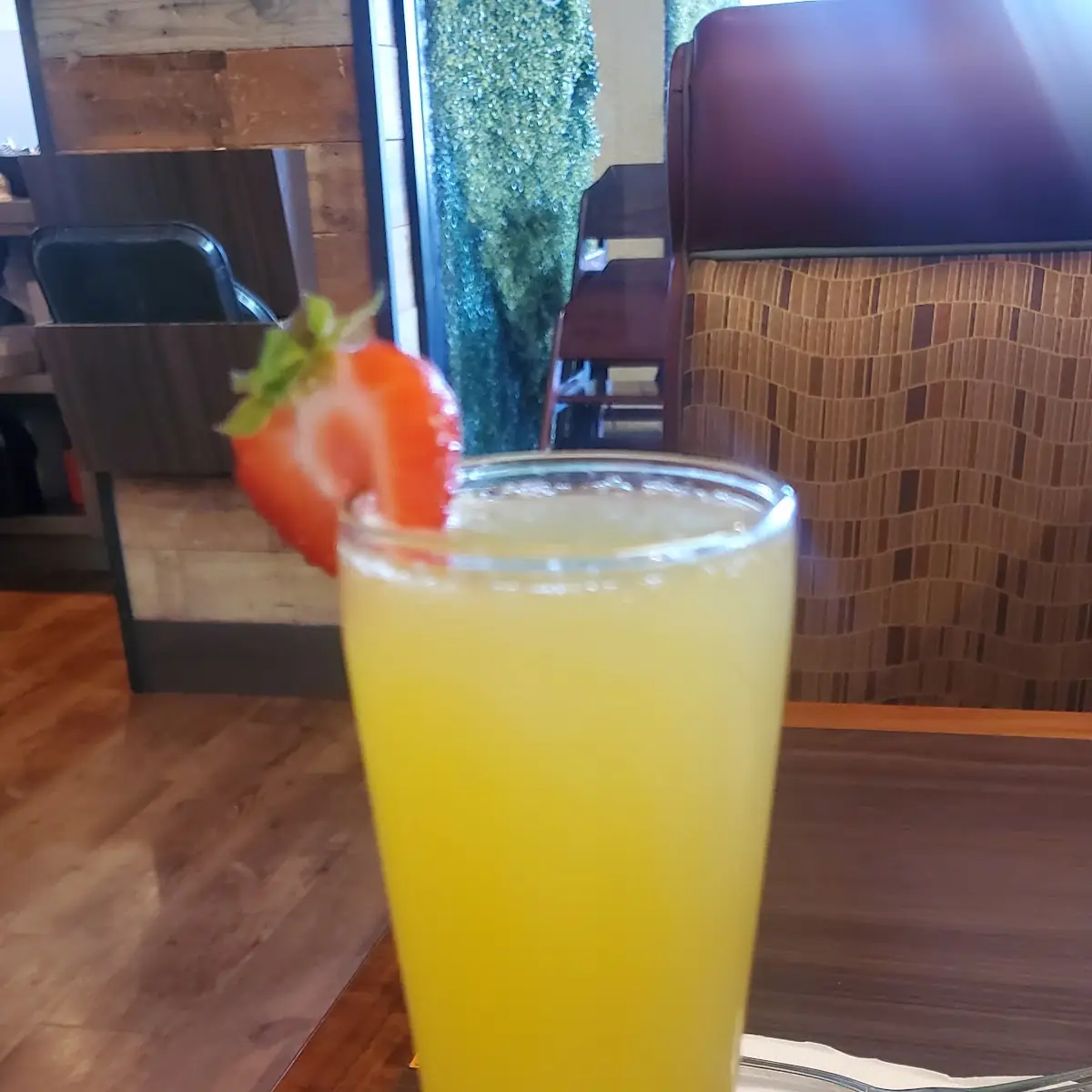 Orange Mimosa