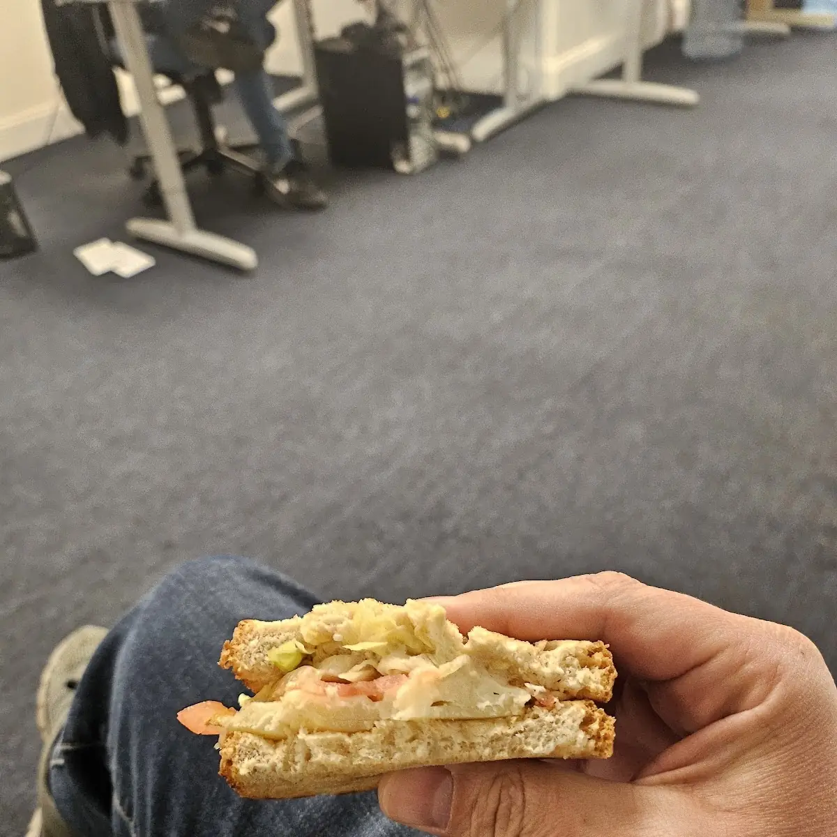 Swiss Cheese Sandwich