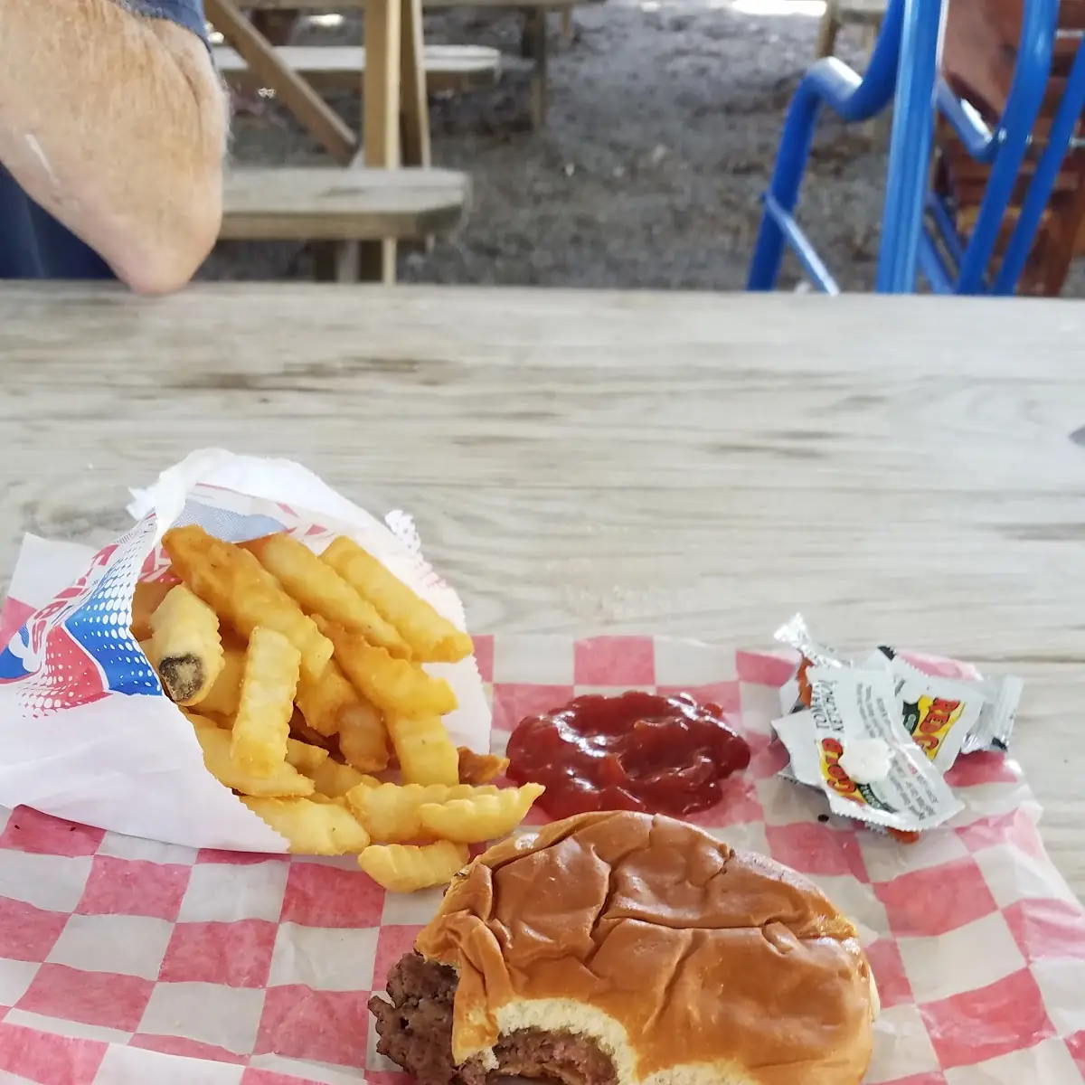 Cheese Burger and Fries