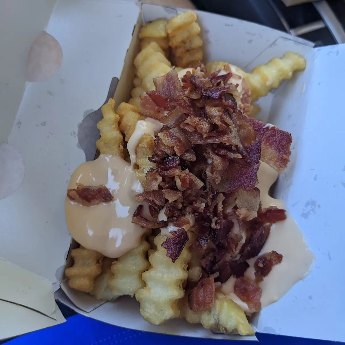 Loaded Fries