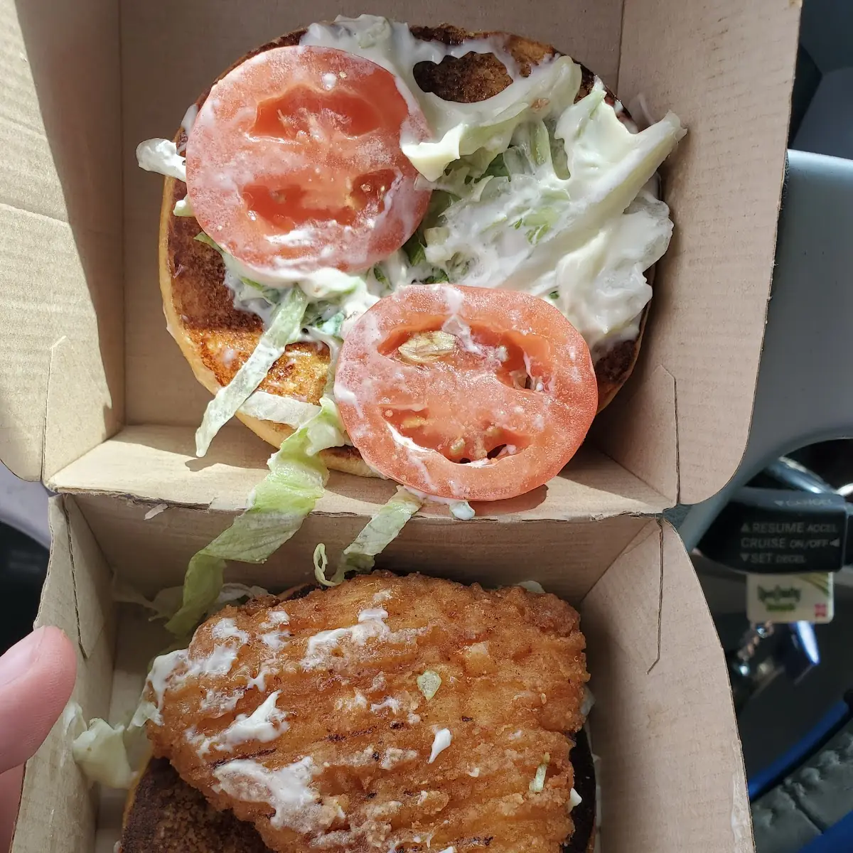 Deluxe Mccrispy