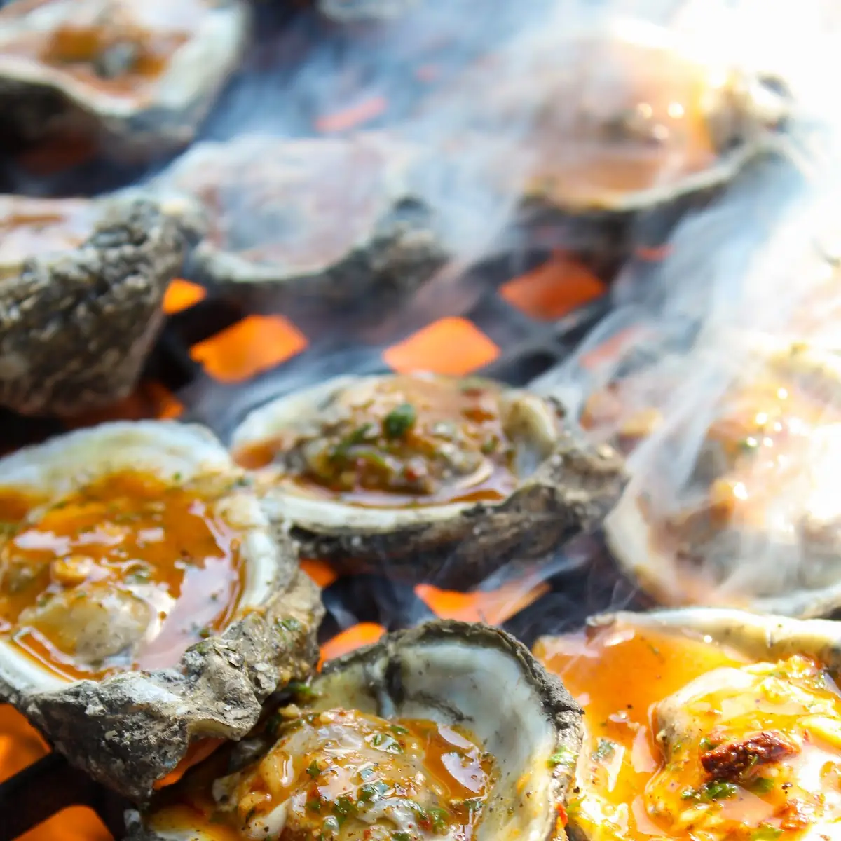 Charbroiled Oysters