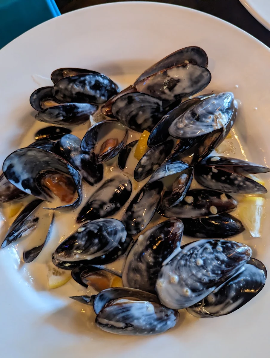 Daily Mussels, Churchills