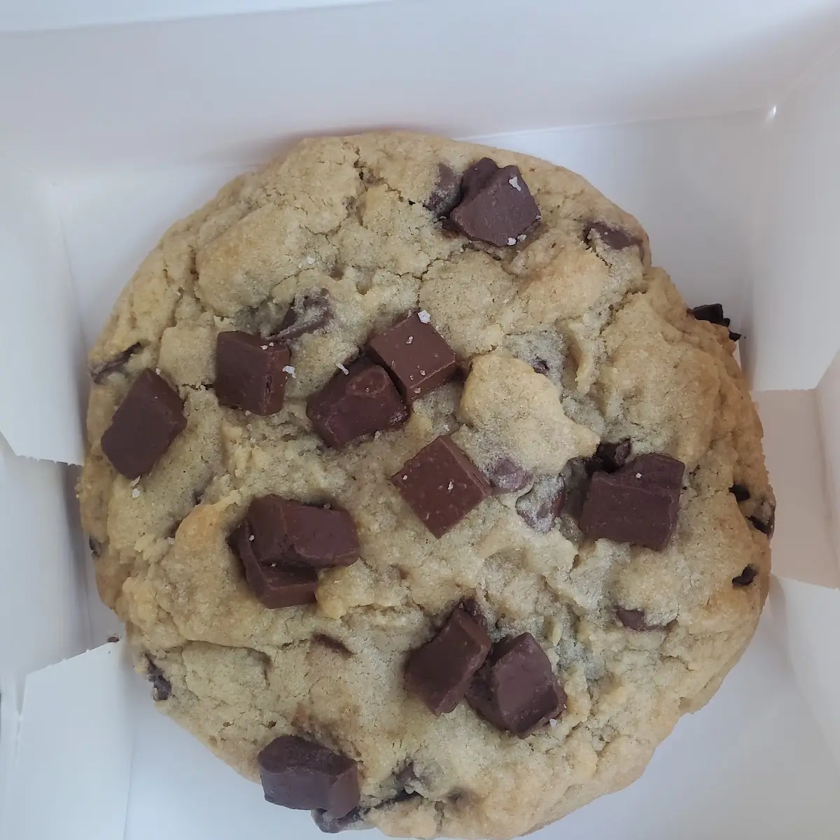 Chocolate Chip Cookie