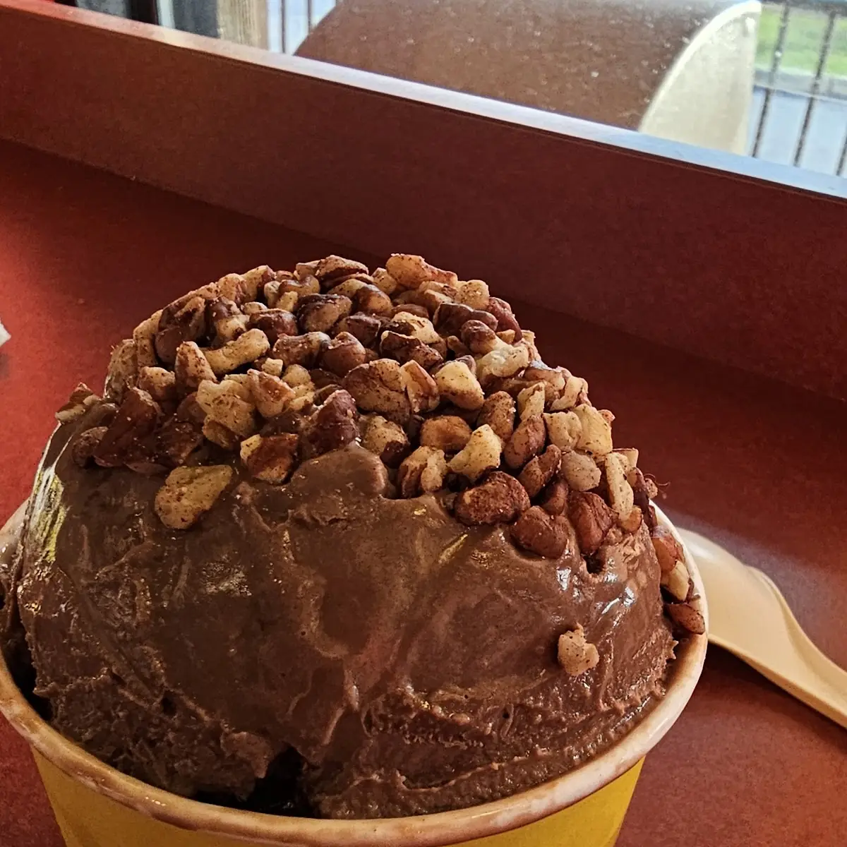 Goat Milk Chocolate Ice Cream