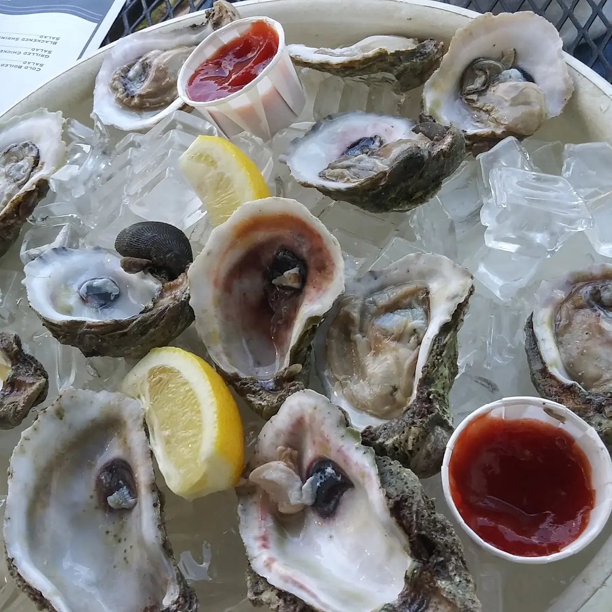 Oysters on the Half Shell