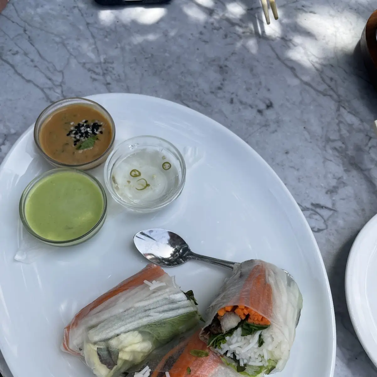 Rice Paper & Vermicelli Spring Rolls