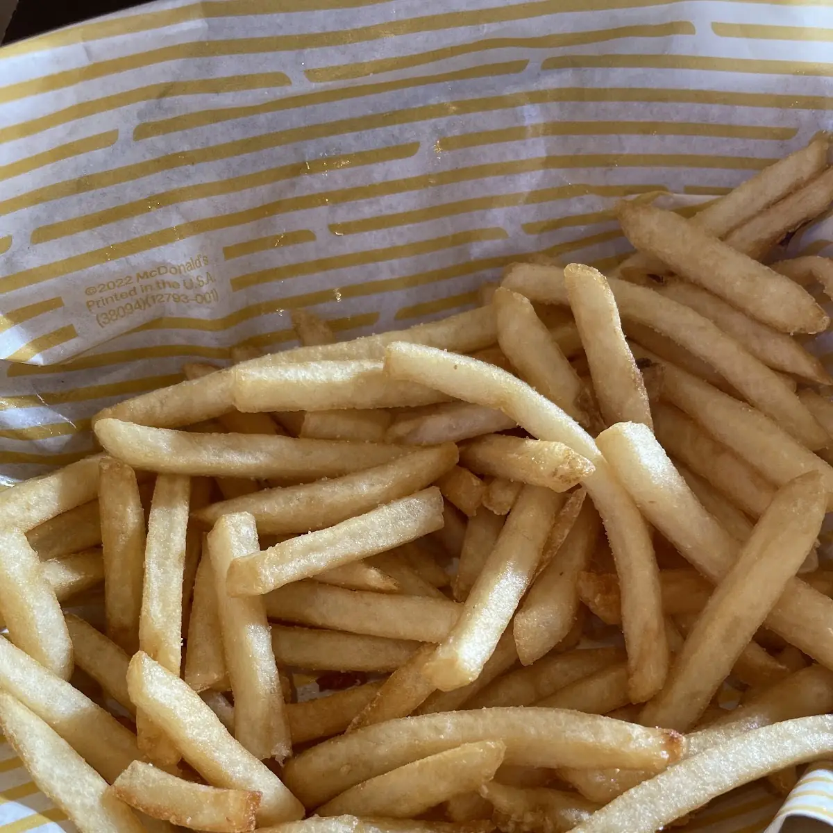 World Famous Fries