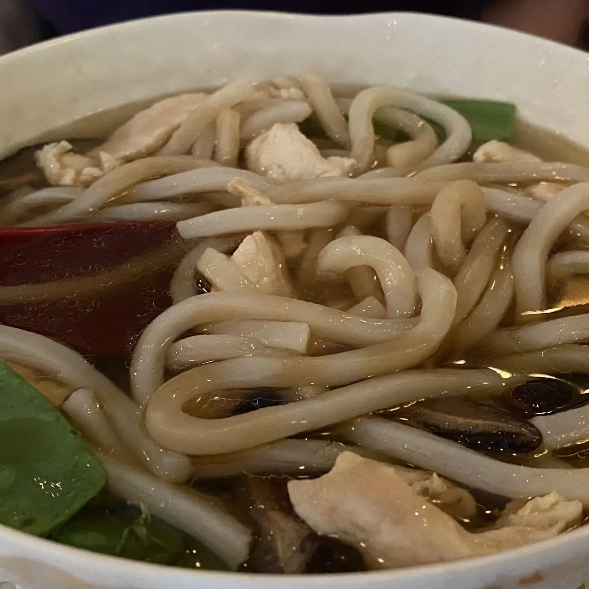 Steamed Udon Noodles