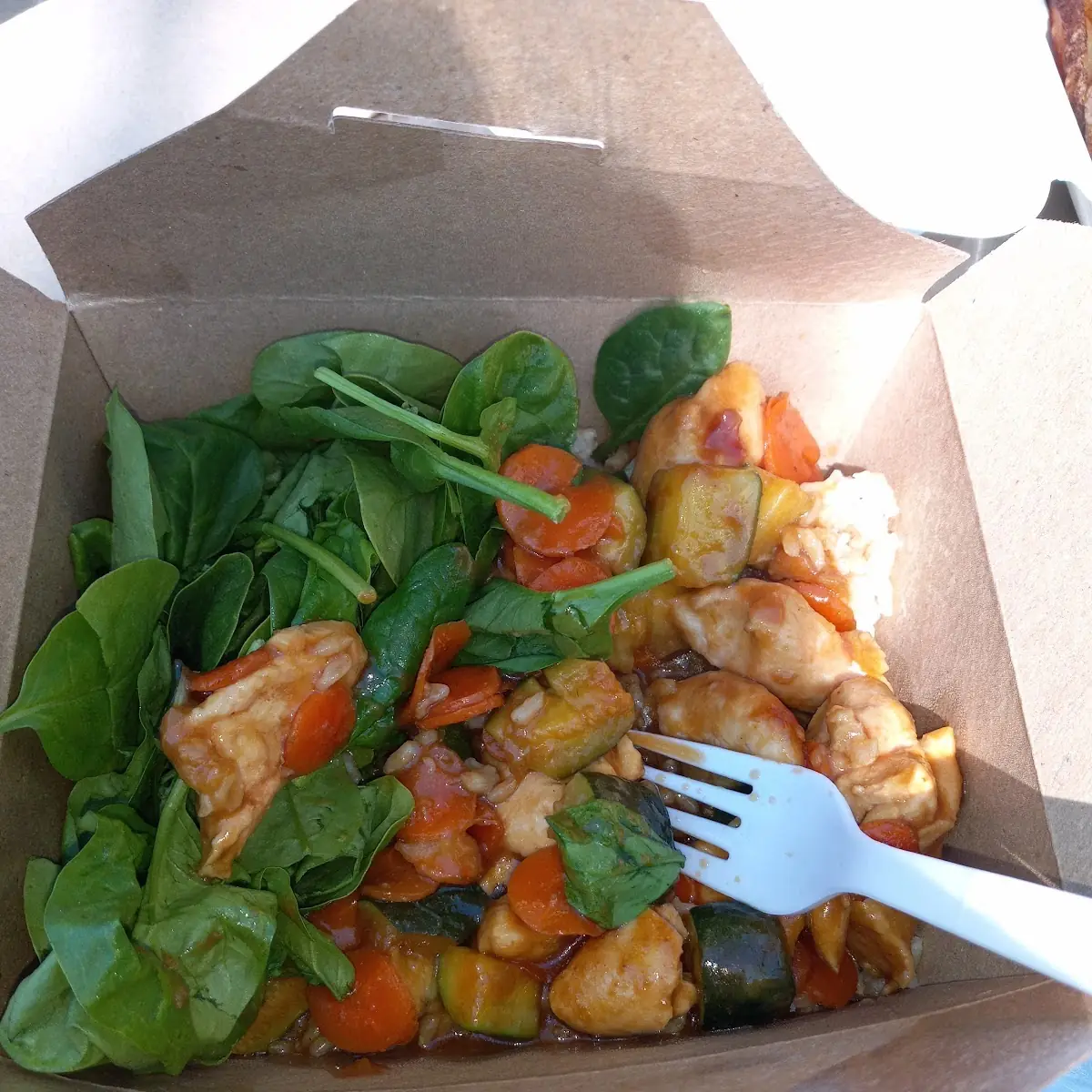Teriyaki Chicken