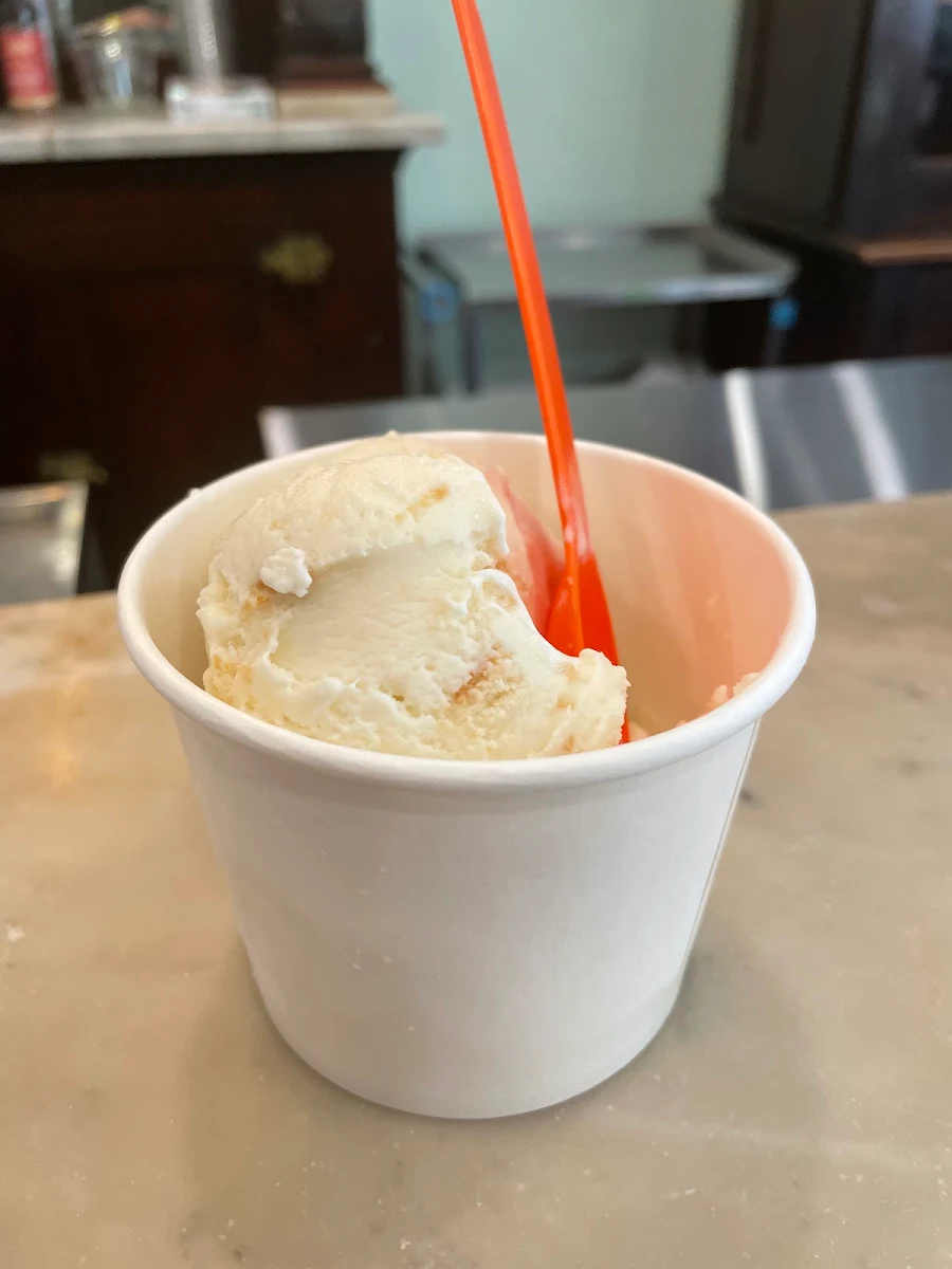Sugar Free Ice Cream