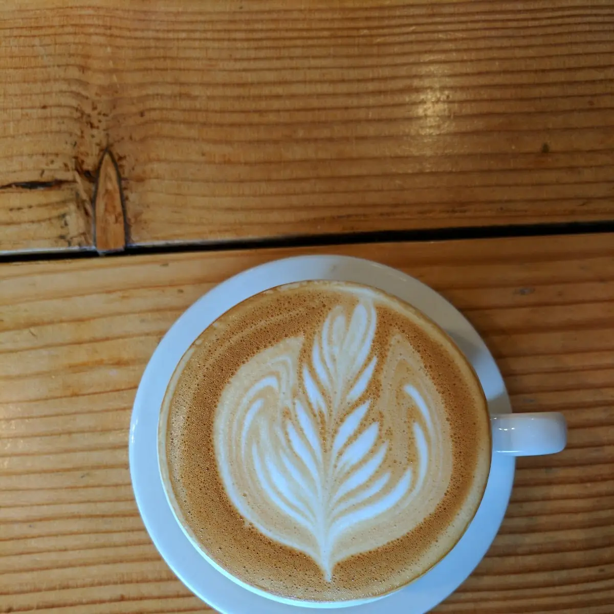 Raw Cappuccino