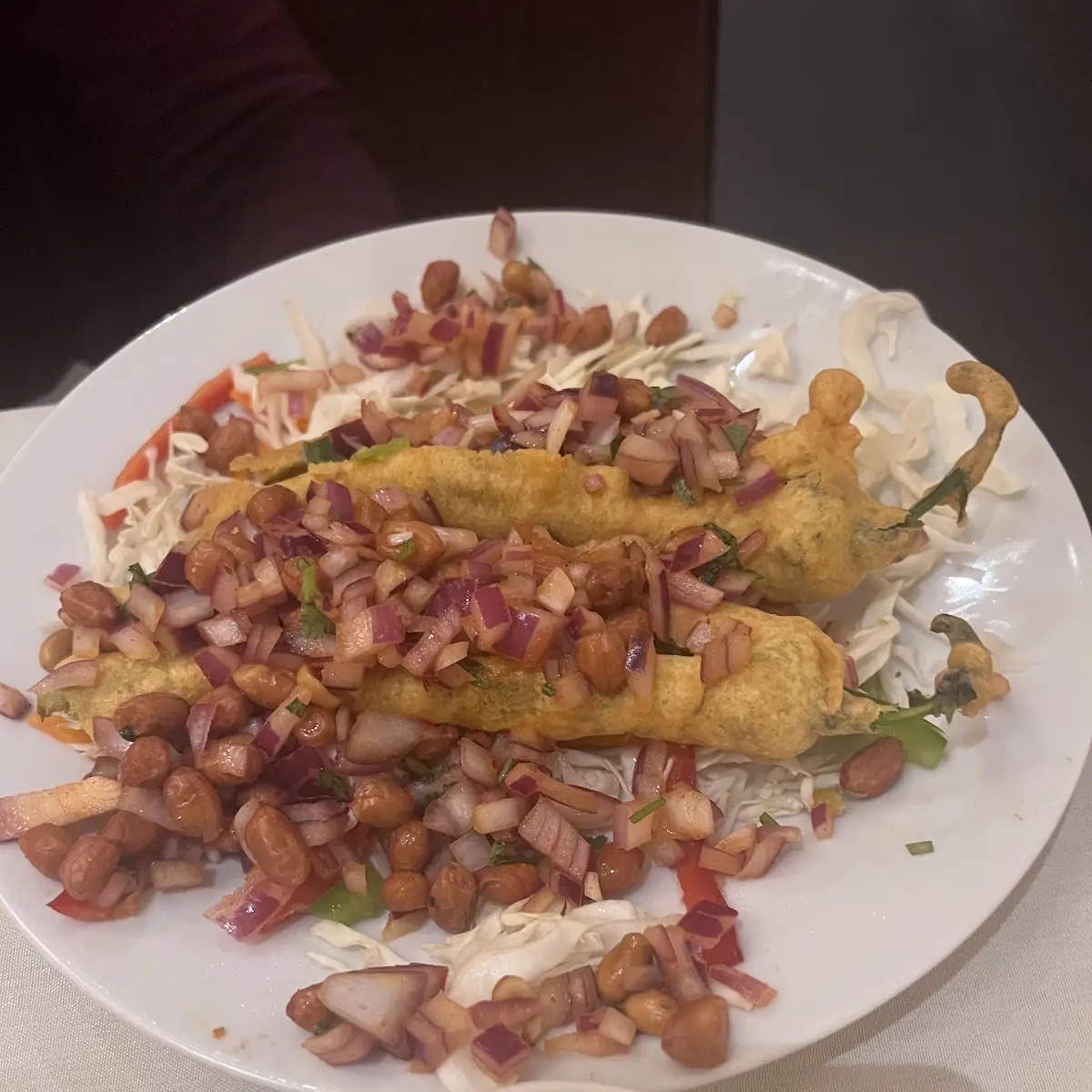 Samosa Chaat HS