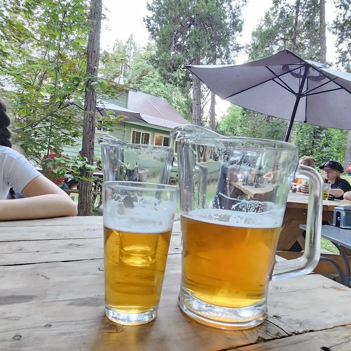 Lagunitas IPA Pitcher