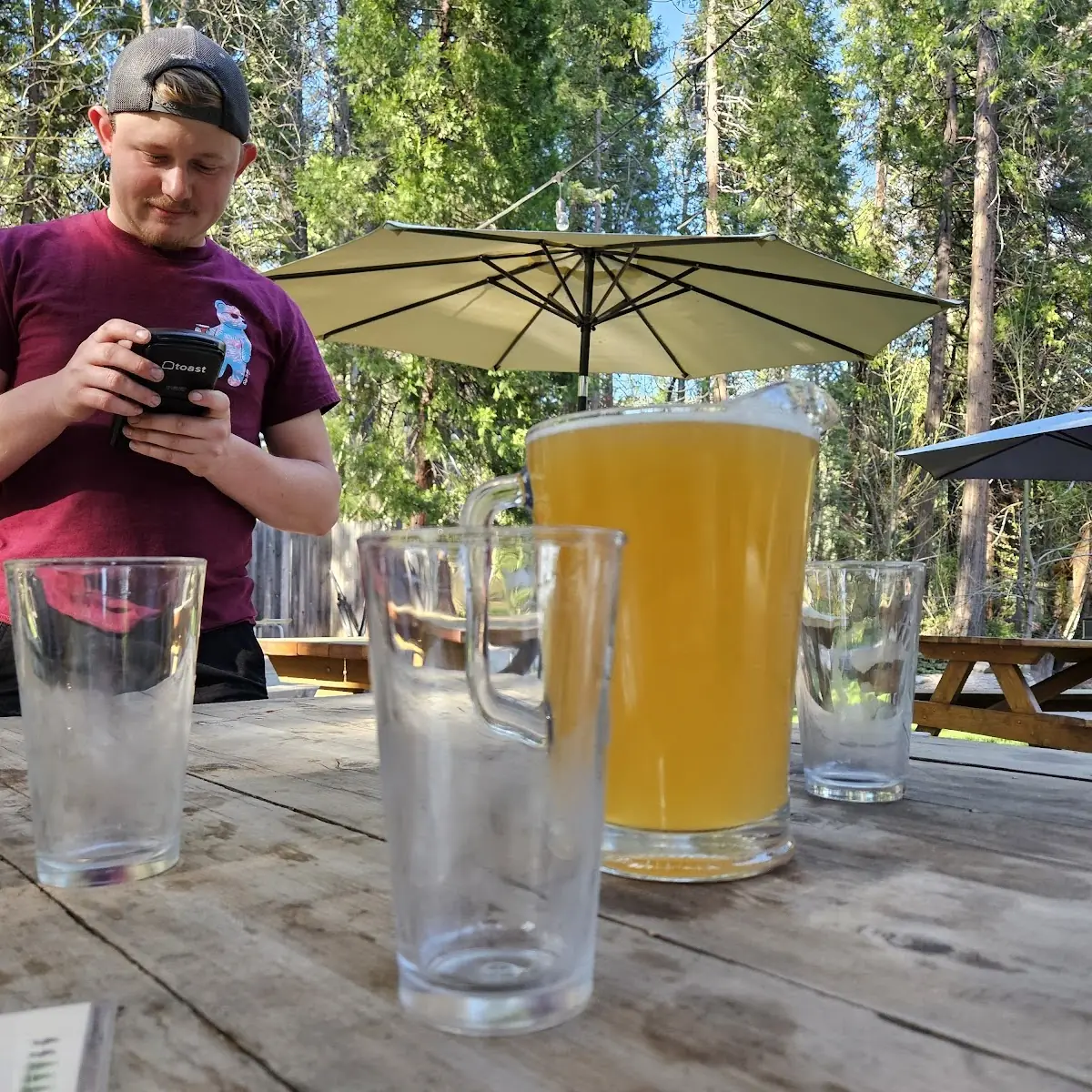 Mind Haze IPA Beer