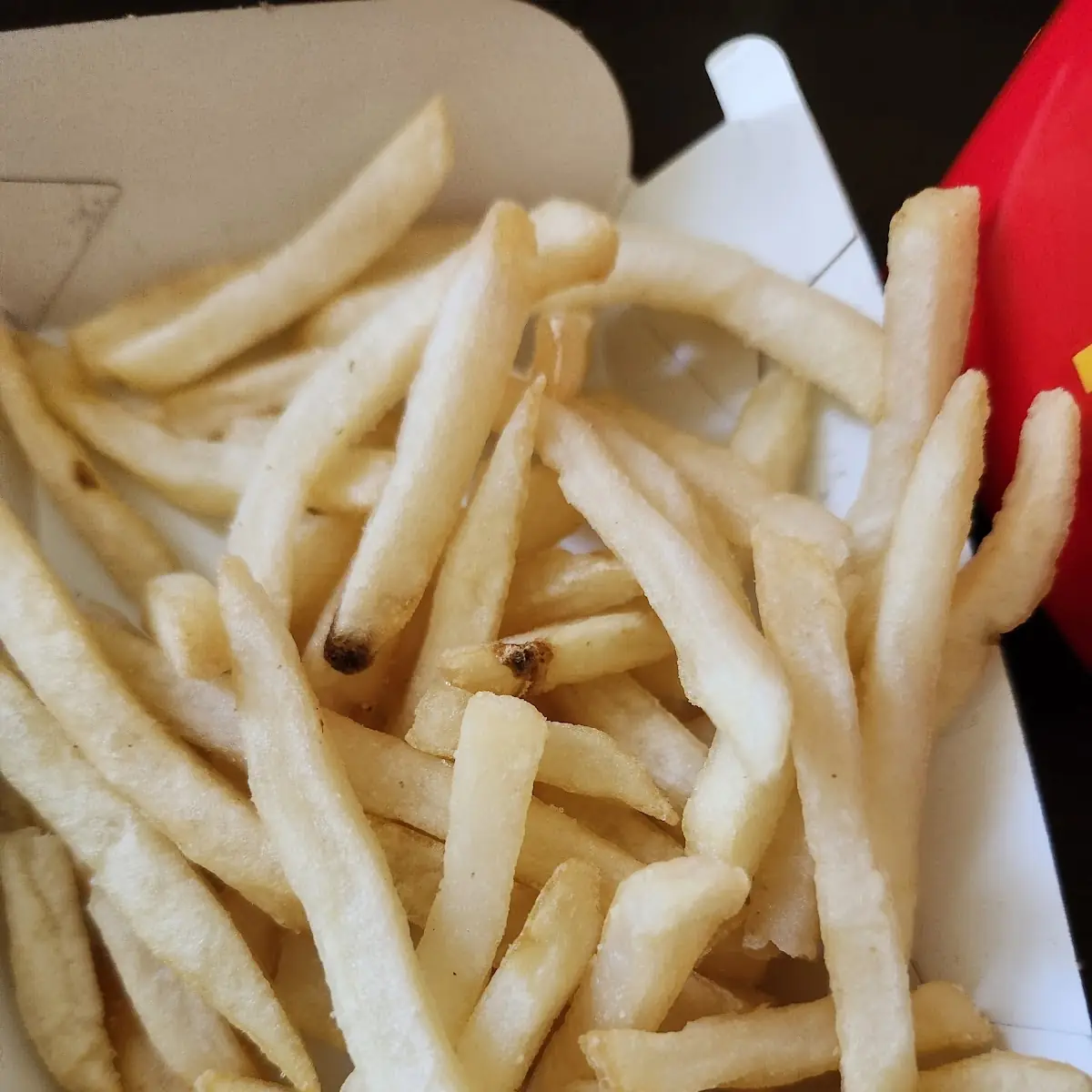 World Famous Fries