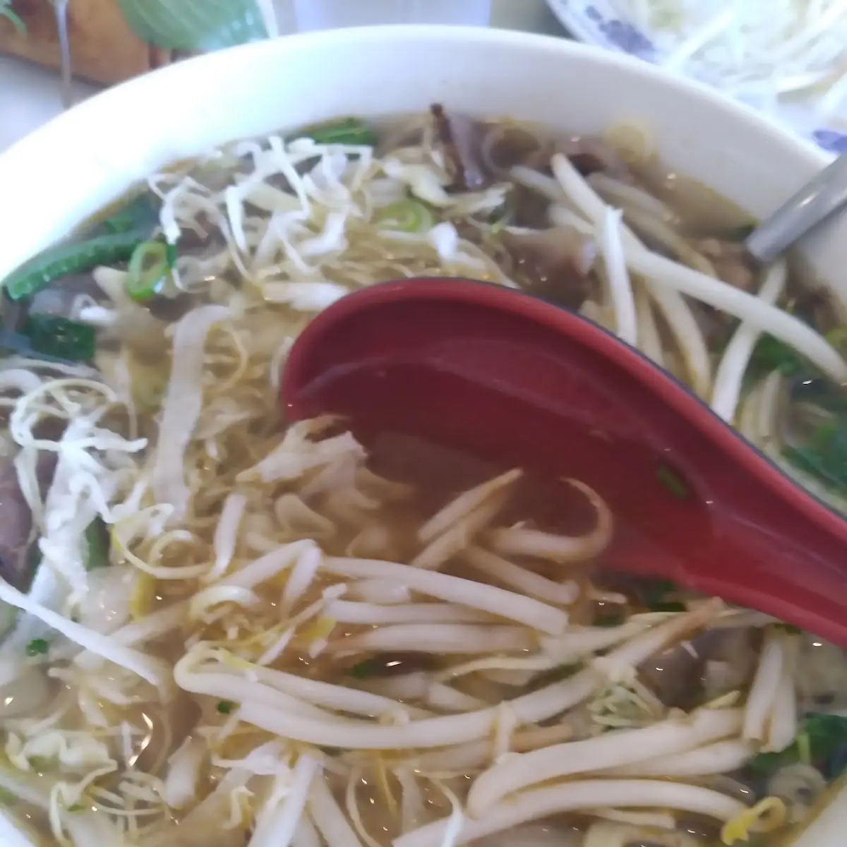 Spicy Beef Noodle Soup