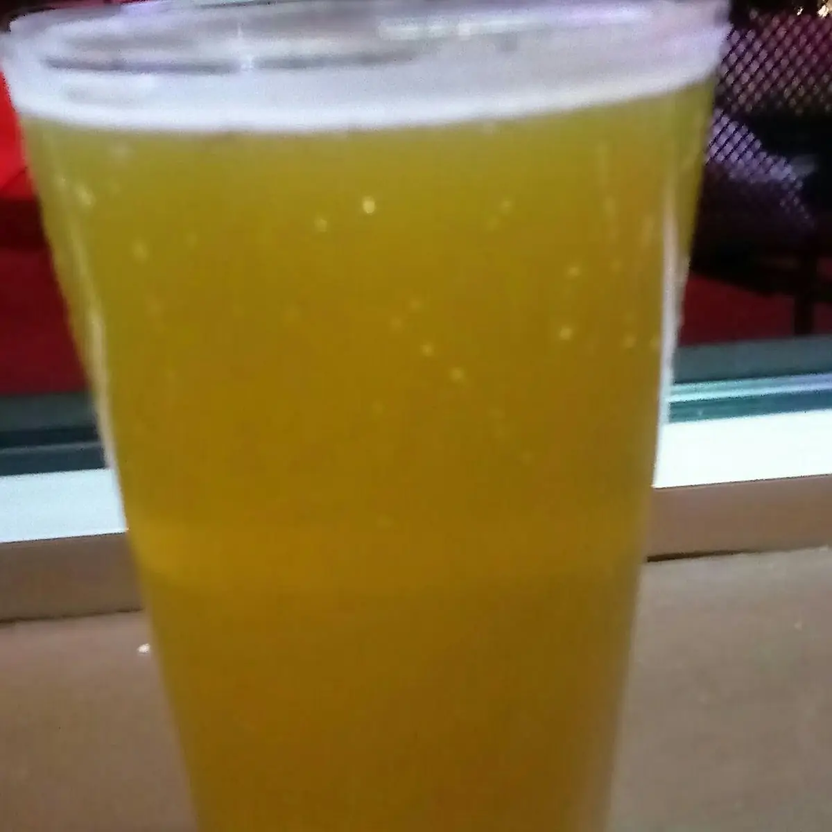 Samuel Adams Summer Ale