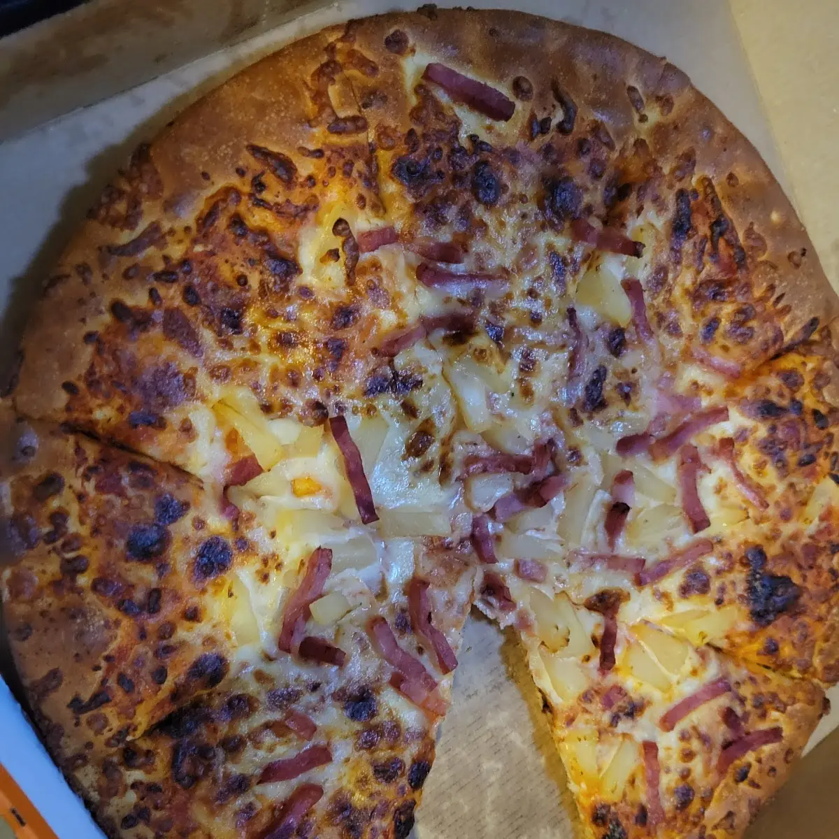 Horrible Burnt Hawaiian Pizza