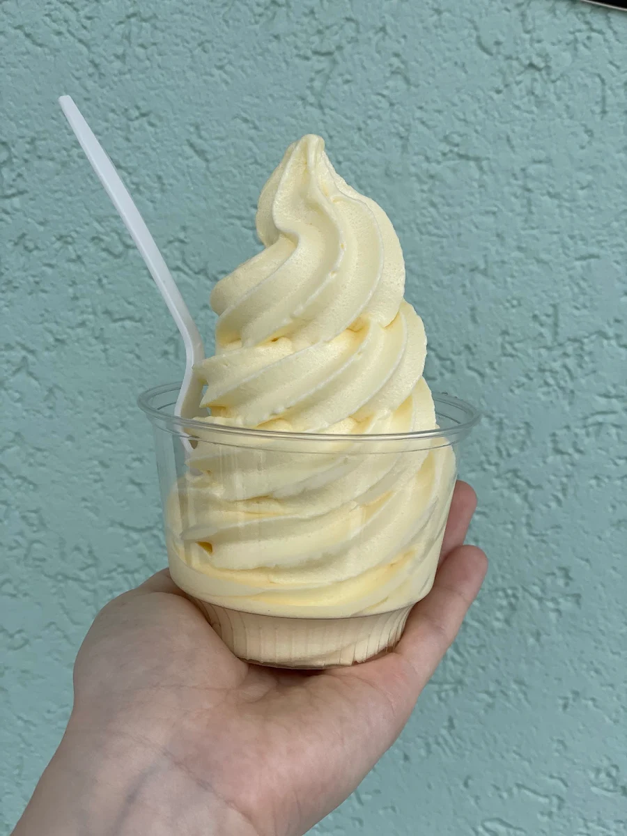 Soft Serve Non Fat Yogurt