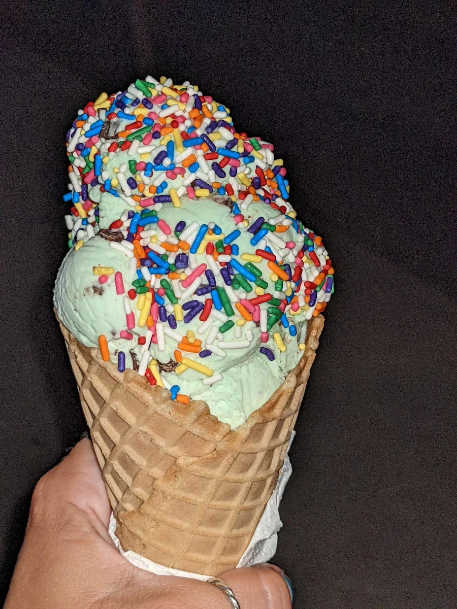 Waffle Cone w Chocolate Chip Mint & Sprinkles