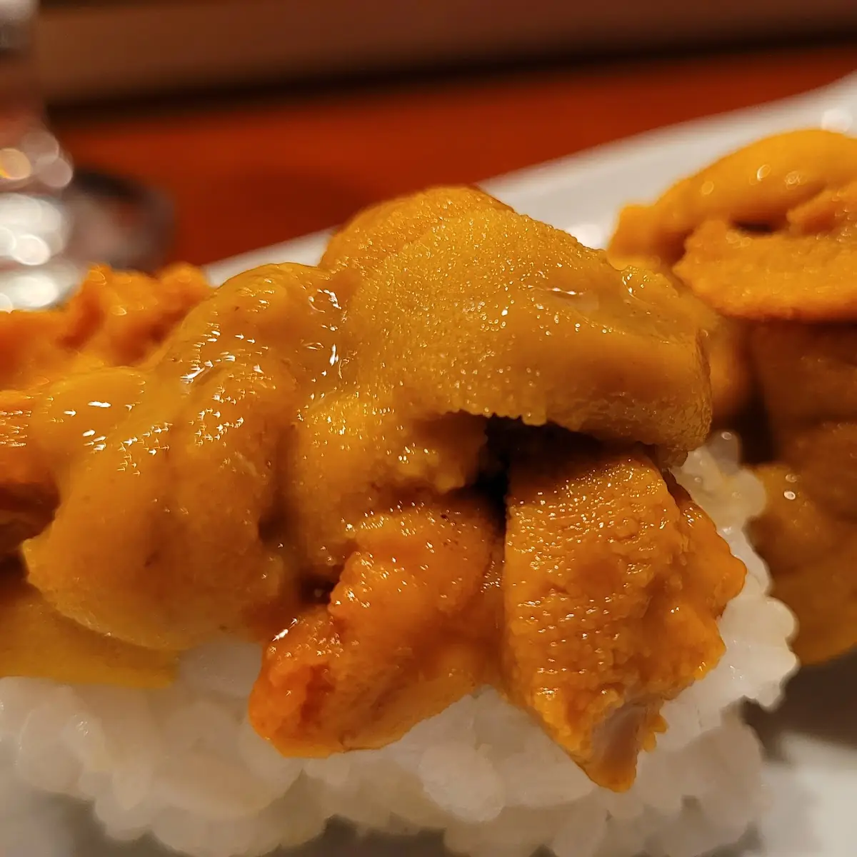 Uni Sea Urchin