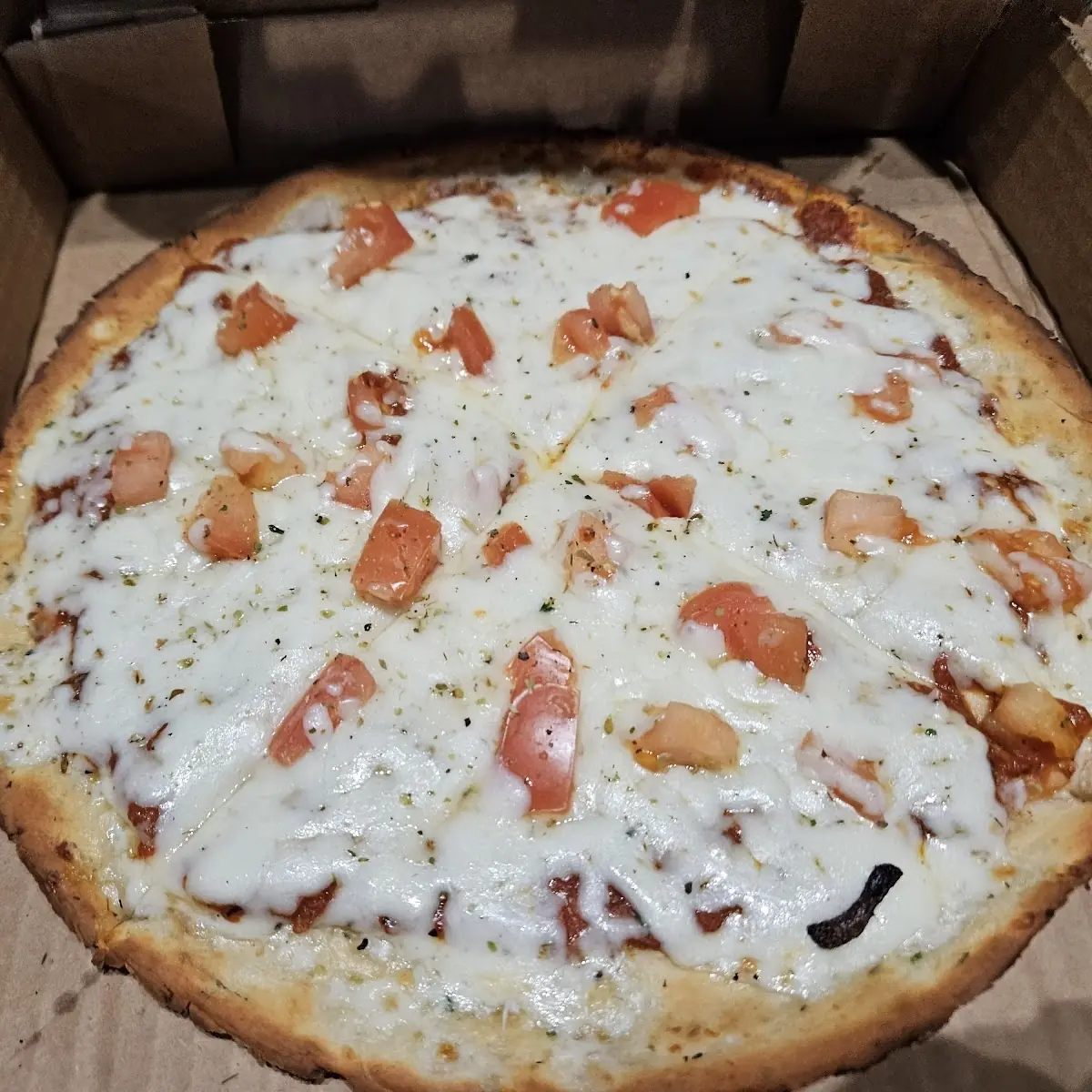 Cheese Pizza with Tomatoes
