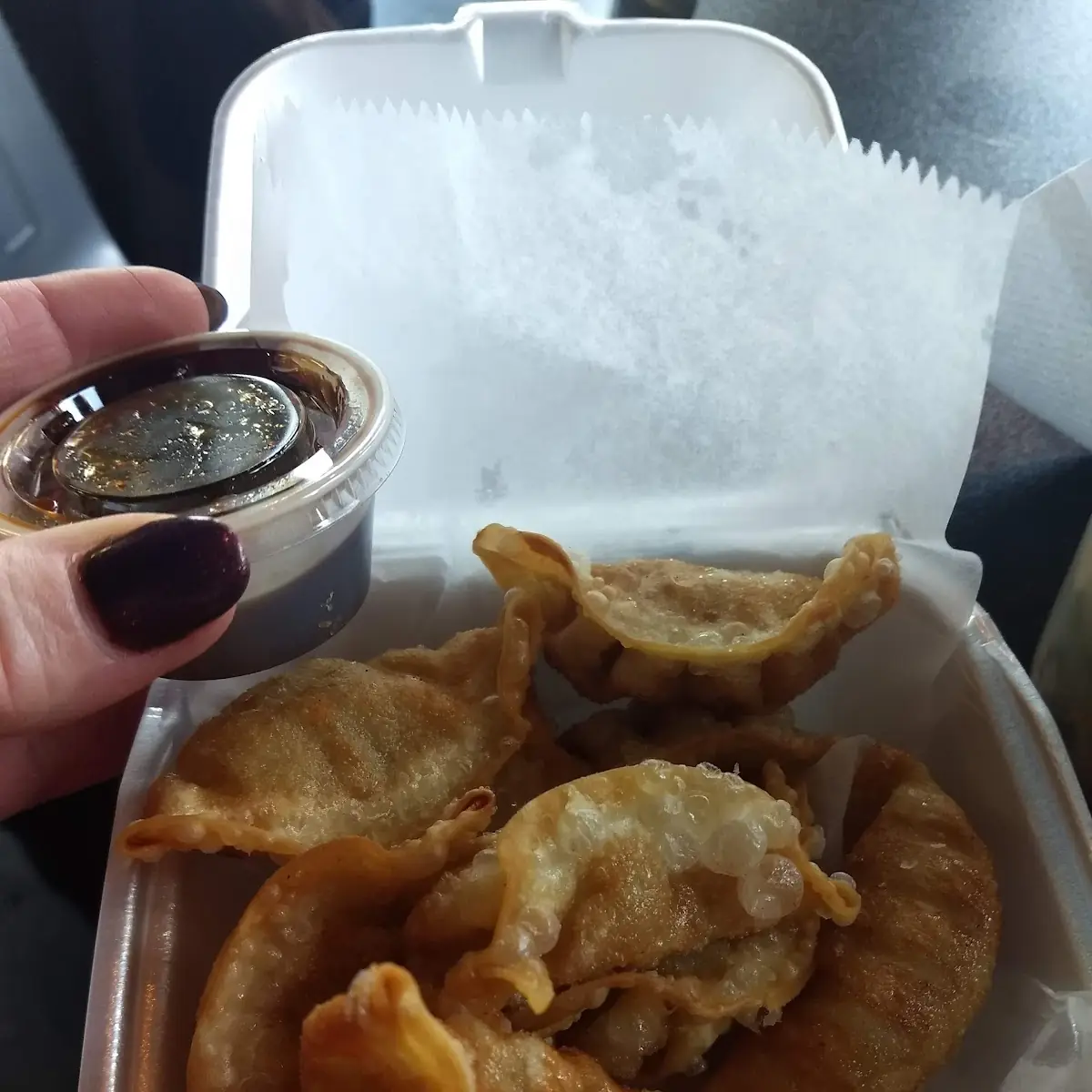 Fried Dumplings