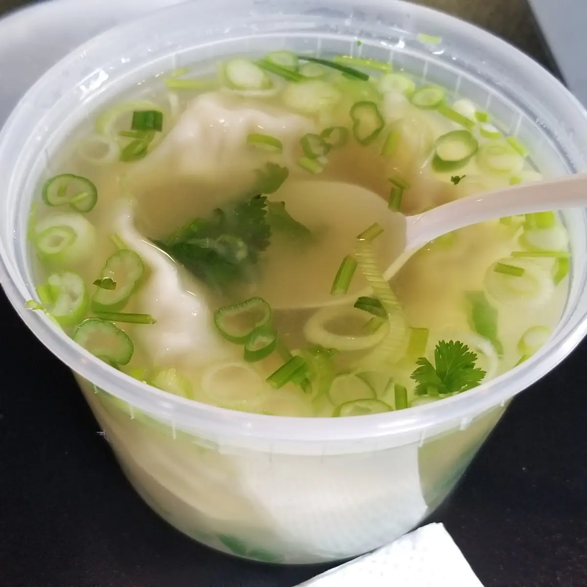 Wonton Soup