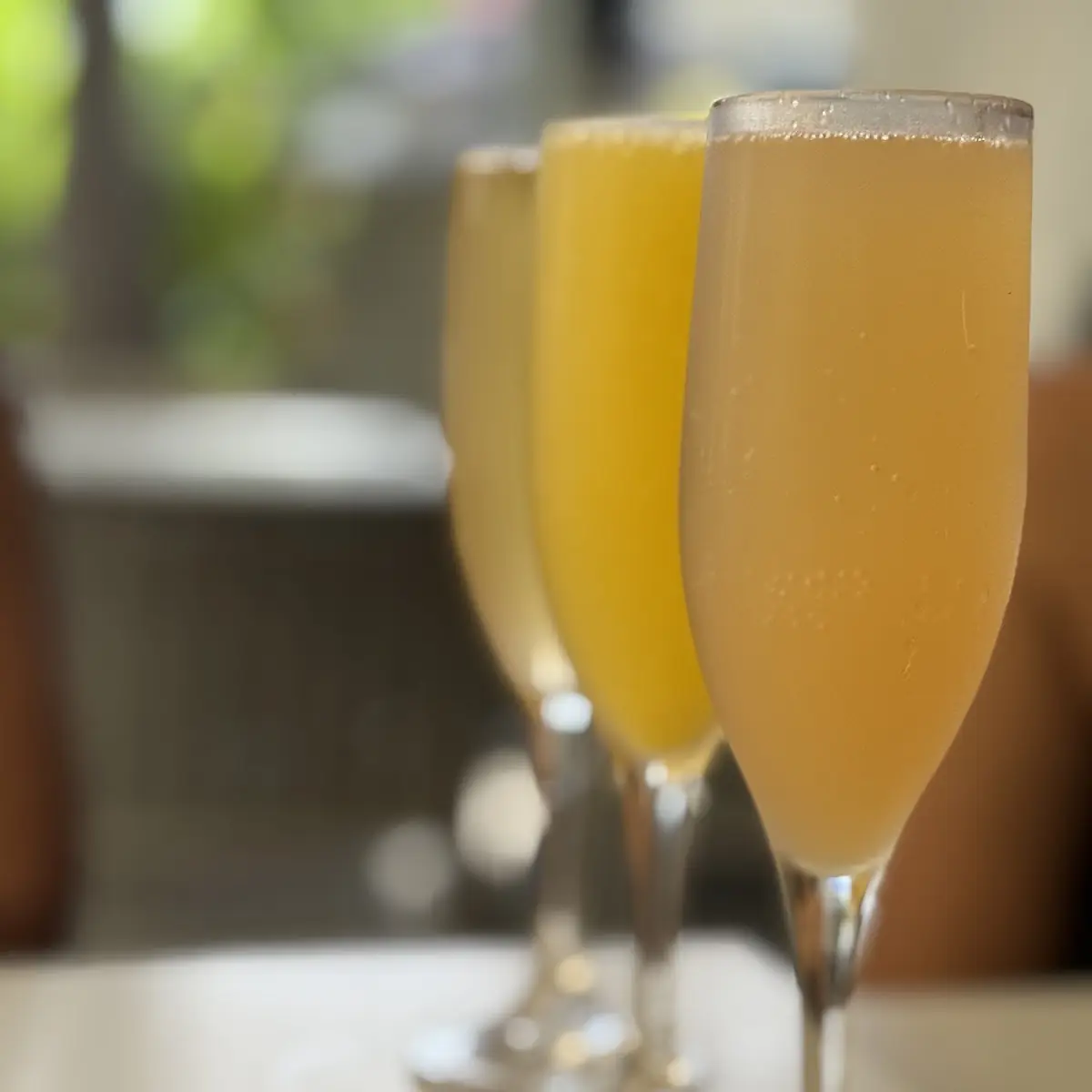 Mimosa Flight