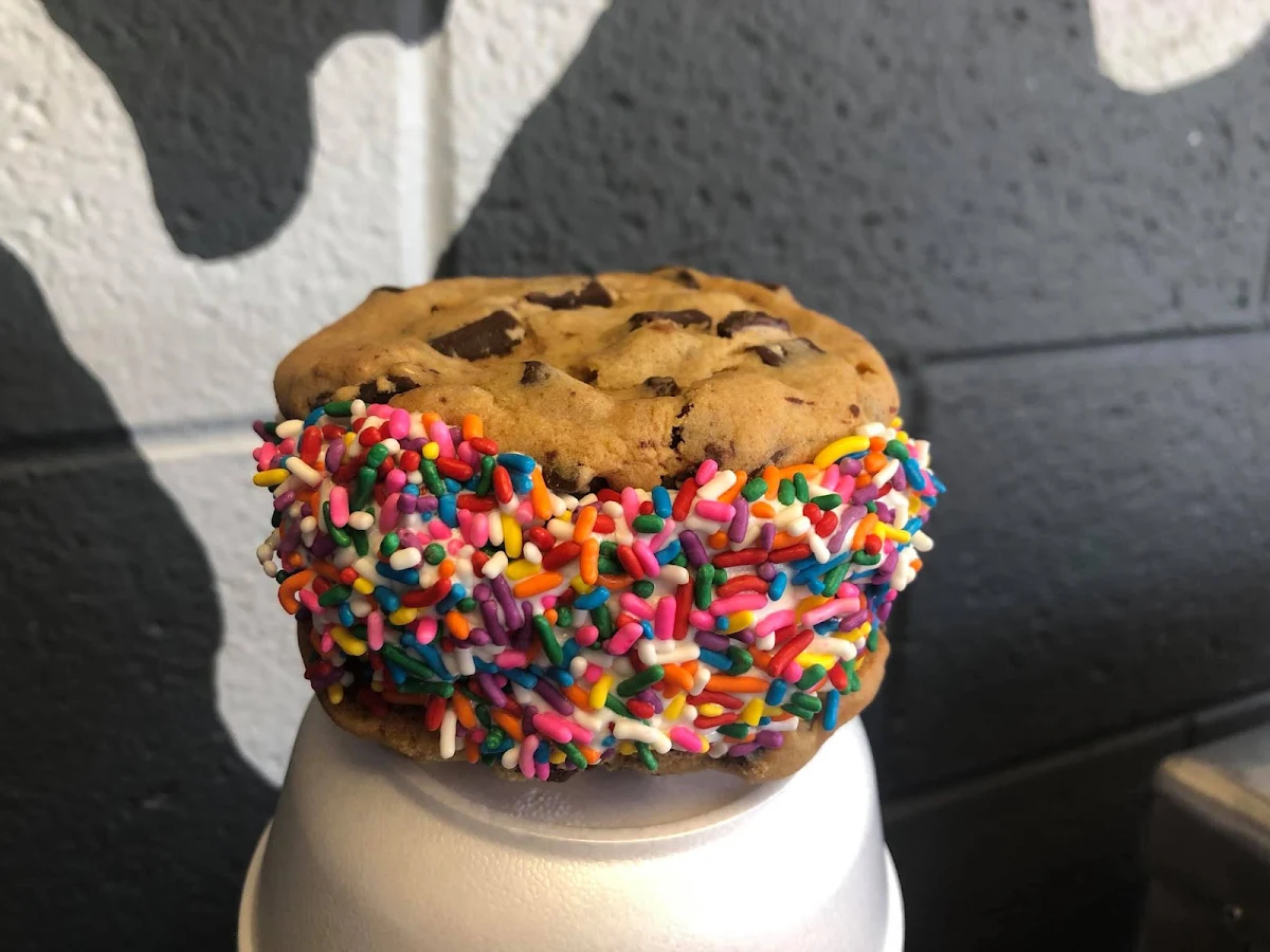 Giant Ice Cream Sandwich