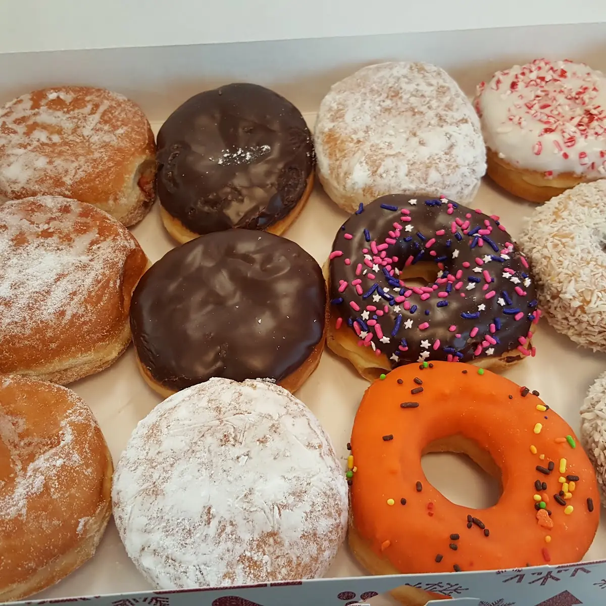 Doughnut