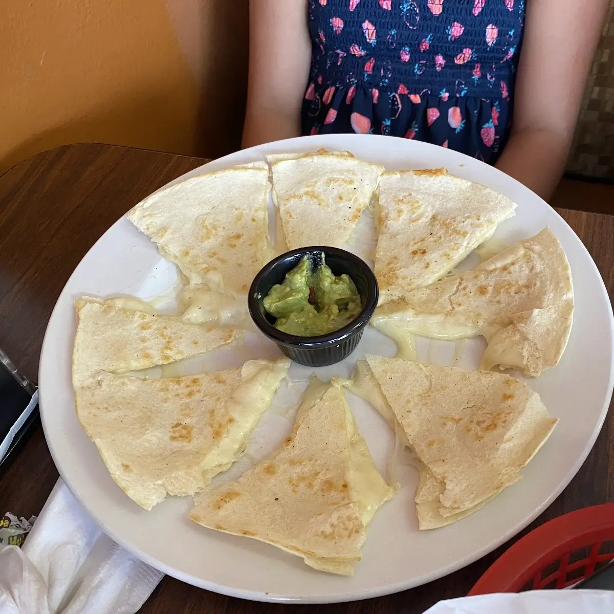 Cheese Quesadilla