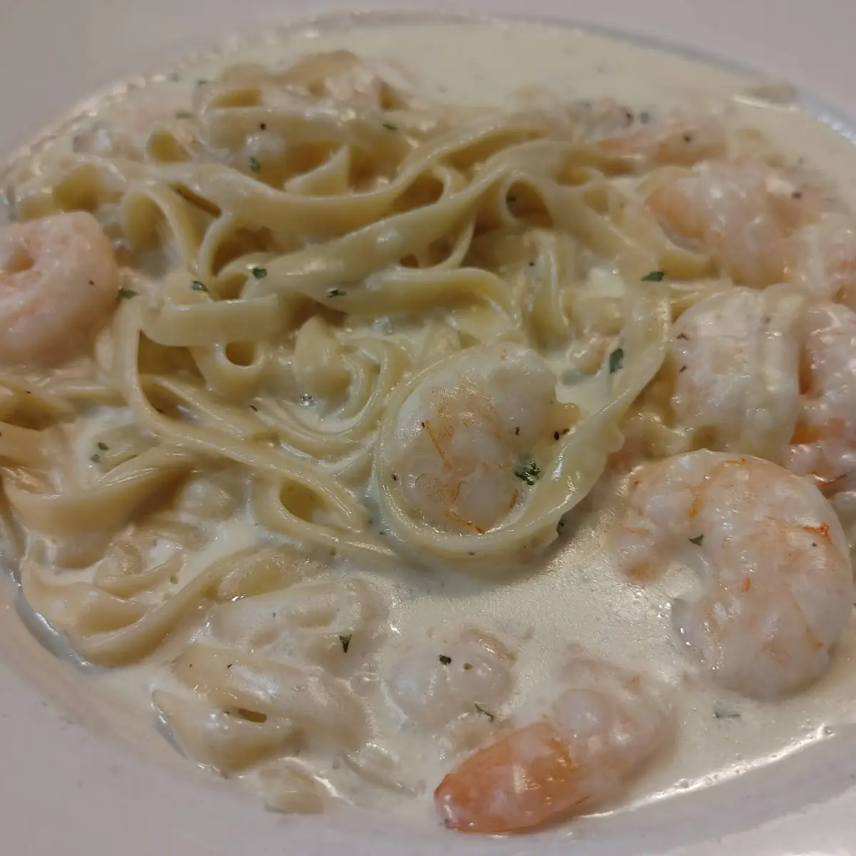 Shrimp Alfredo