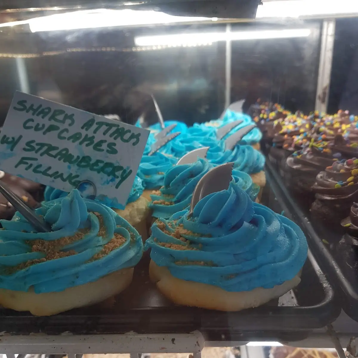 Baby Shark Cupcakes
