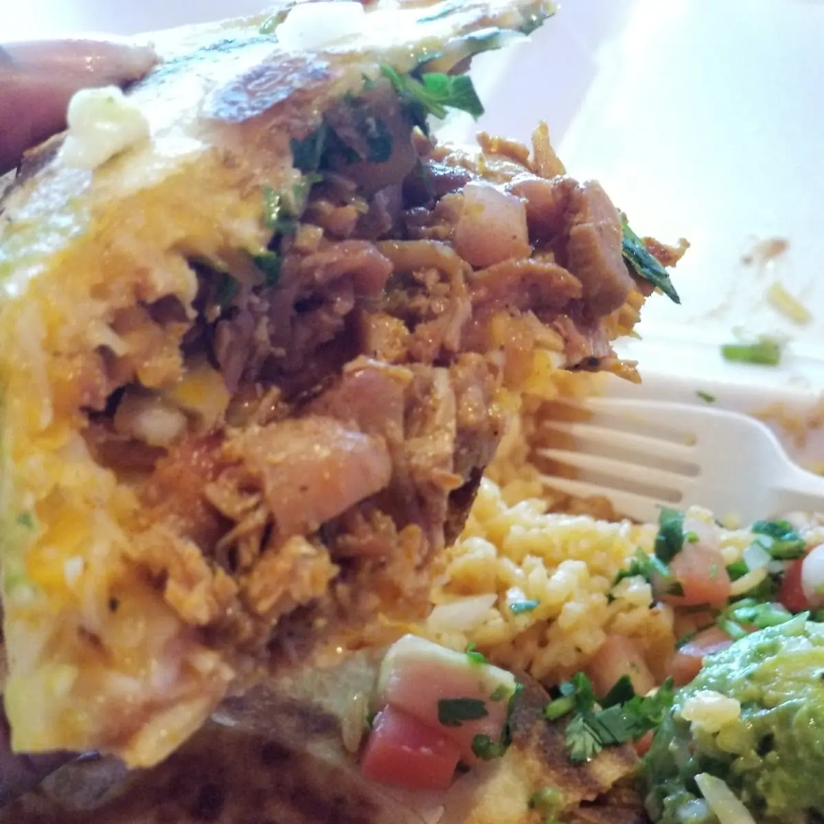 Chicken Quesadilla
