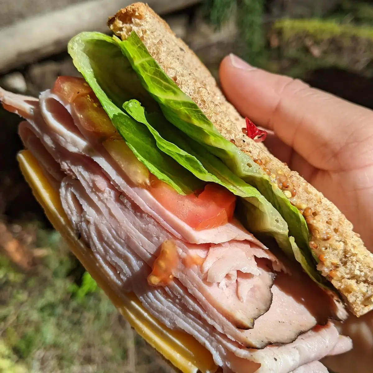 Black Forest Ham Sandwich