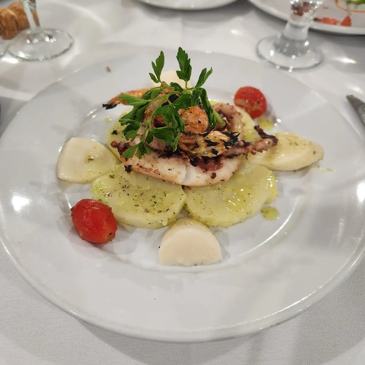 Octopus Salad