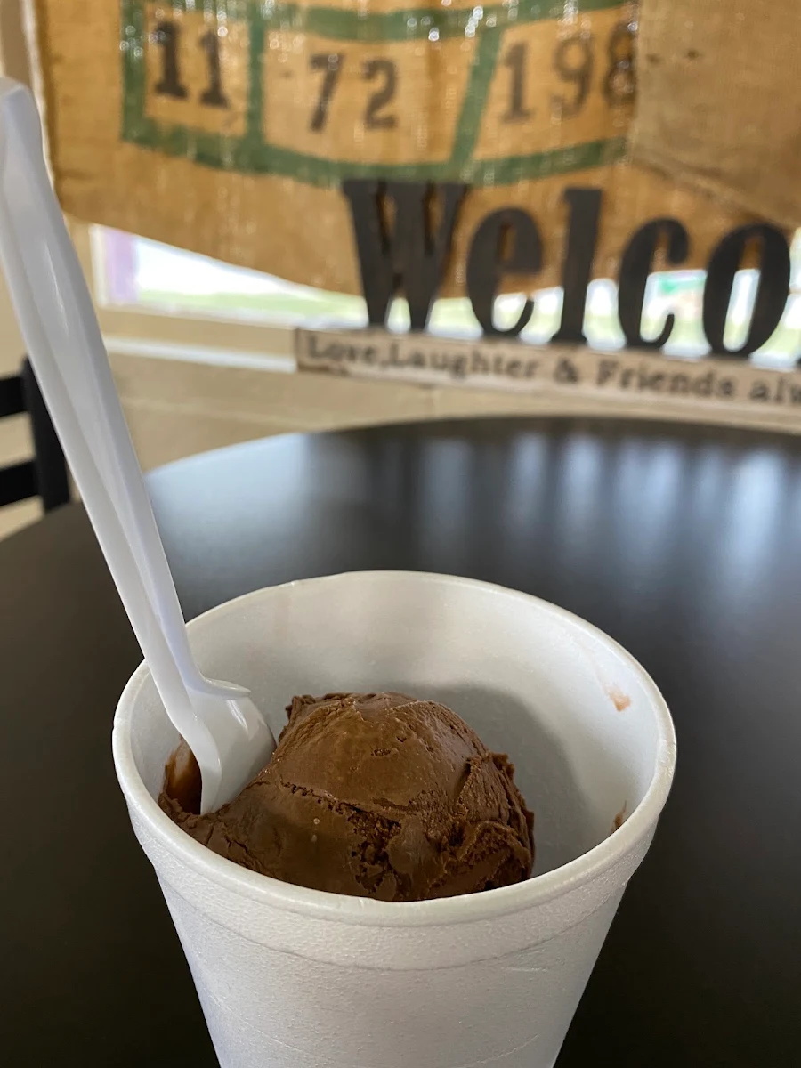 Chocolate Ice Cream