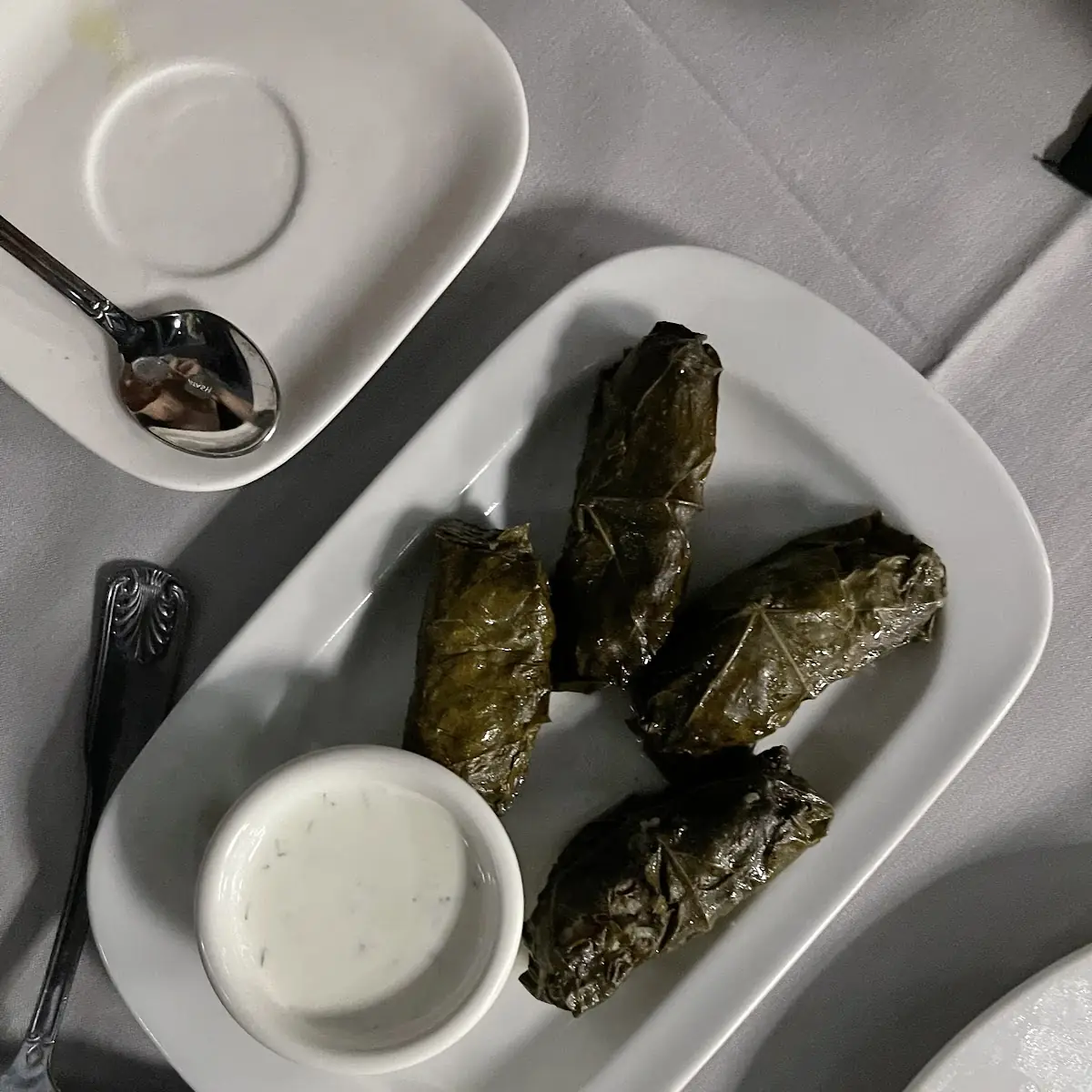Tolma - Stuffed Grape Leaves