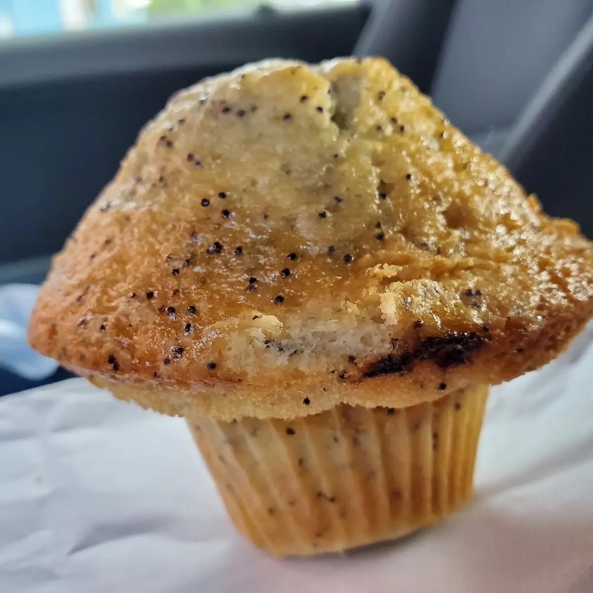 Lemon Poppy Seed Muffin