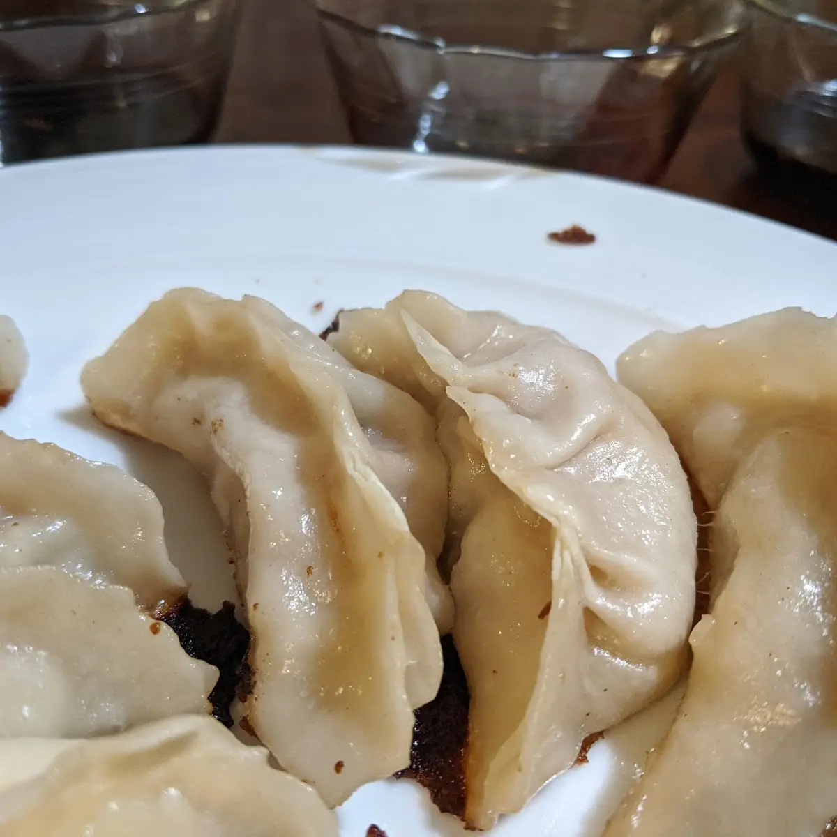 Pan Fried Dumplings