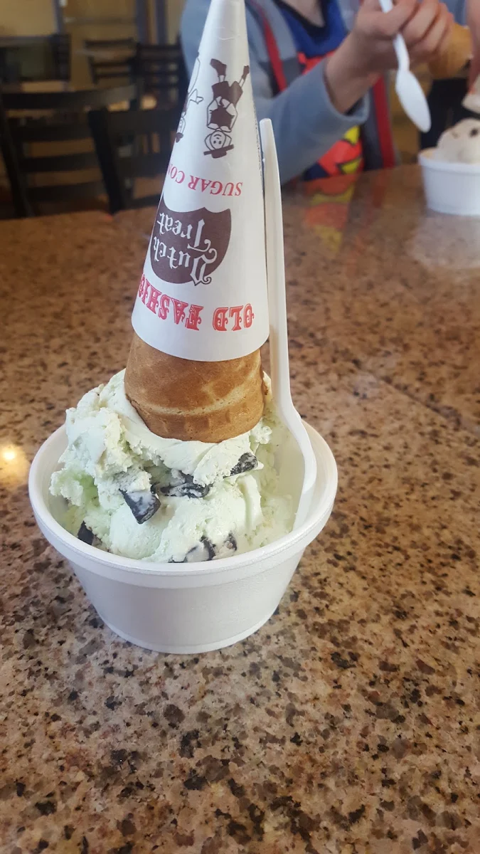 Mint Chocolate Chip Ice Cream
