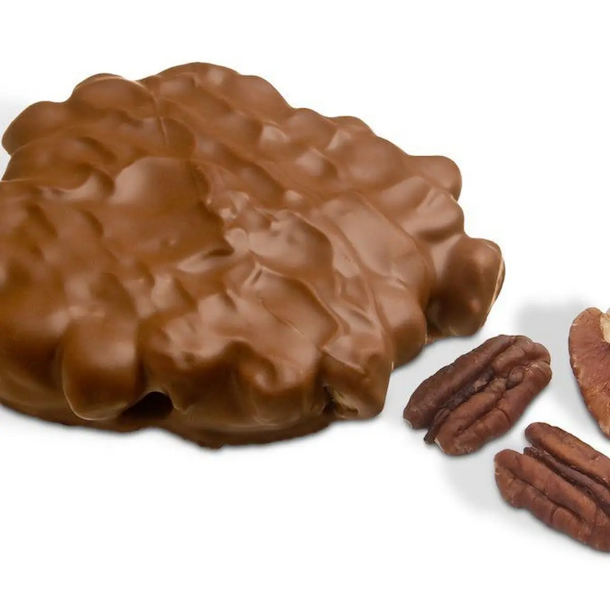 Milk Chocolate Pecan Bear