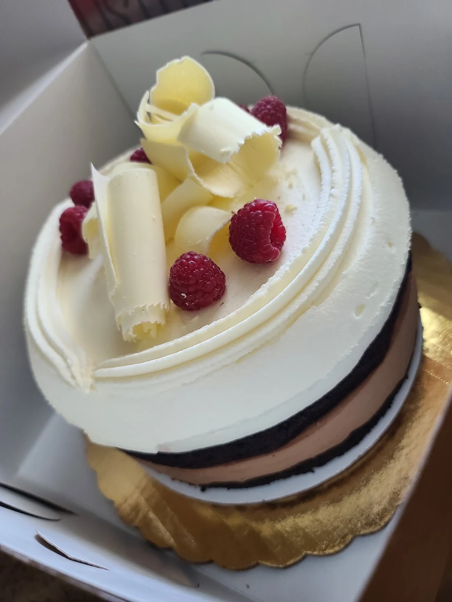 Chocolate Mousse Cake