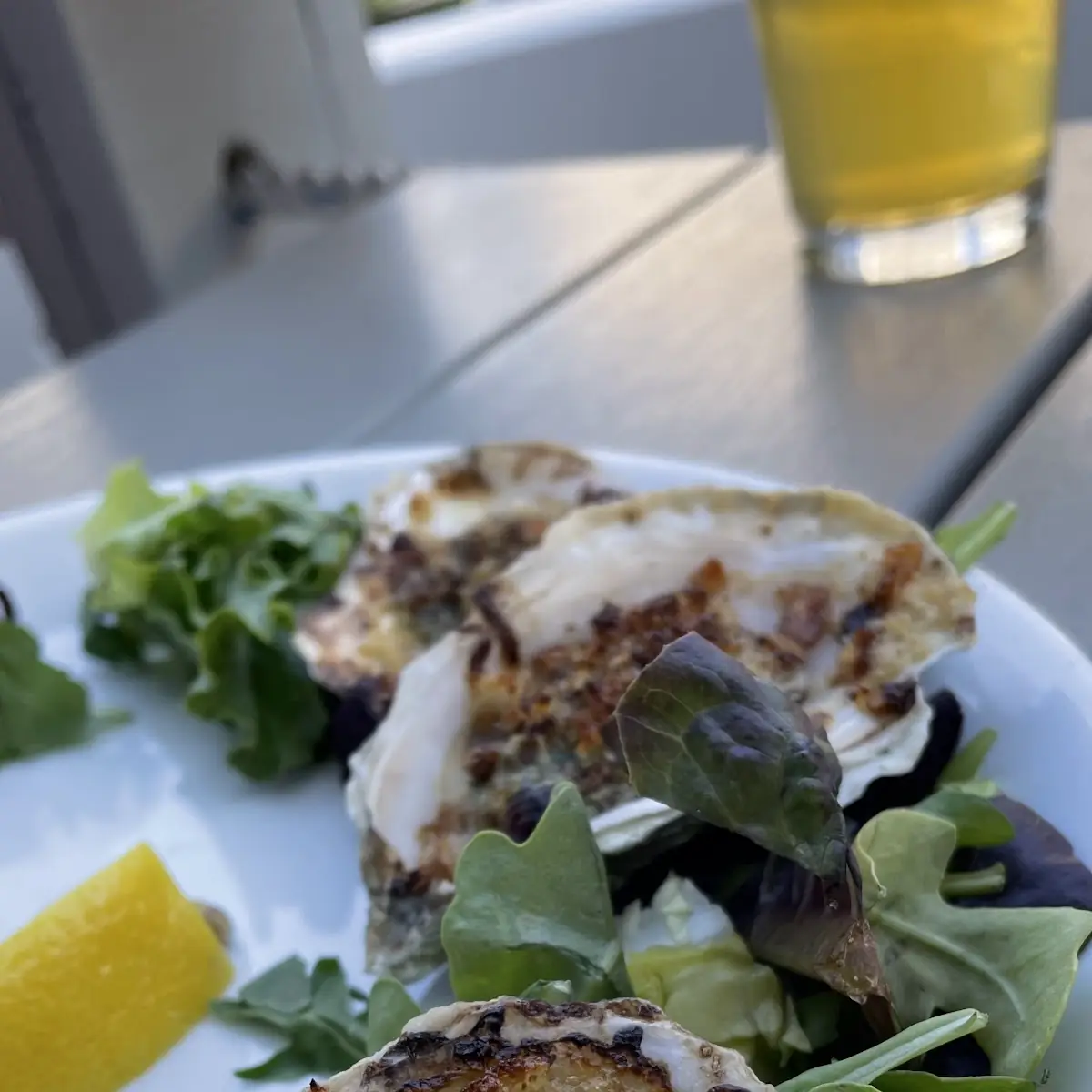 Half Dozen Oysters