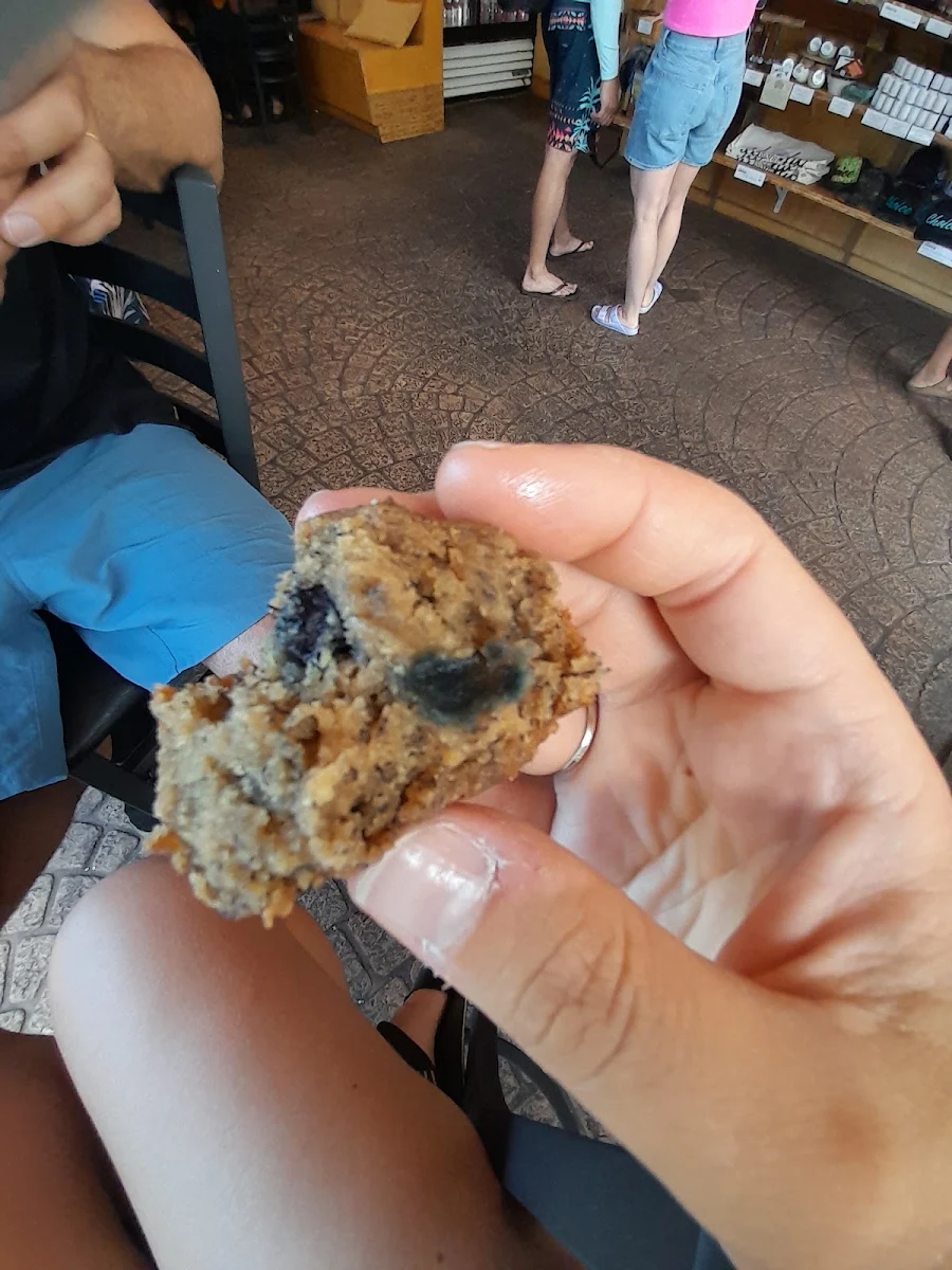 Blueberry Muffin